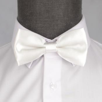 Бабочка мужская 0192