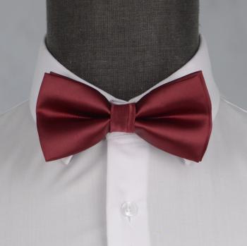 Бабочка мужская 0093