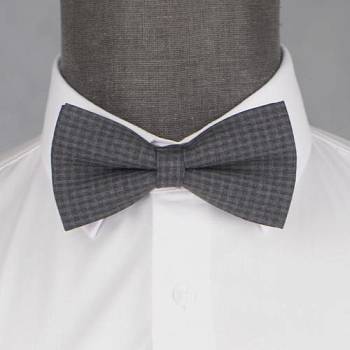 Бабочка мужская 0141