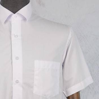 Рубашка мужская Grossir 1051KG к/р